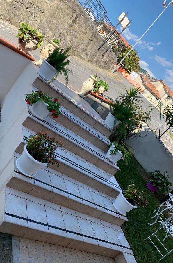 B&B Villa Pignataro Verbicaro Exterior photo